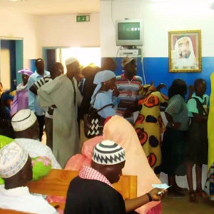 Collaborations with National and International Ngos-9